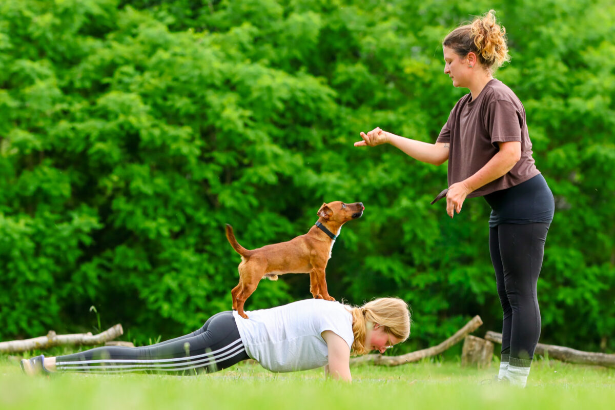 IMG_7518 Fit mit Hund